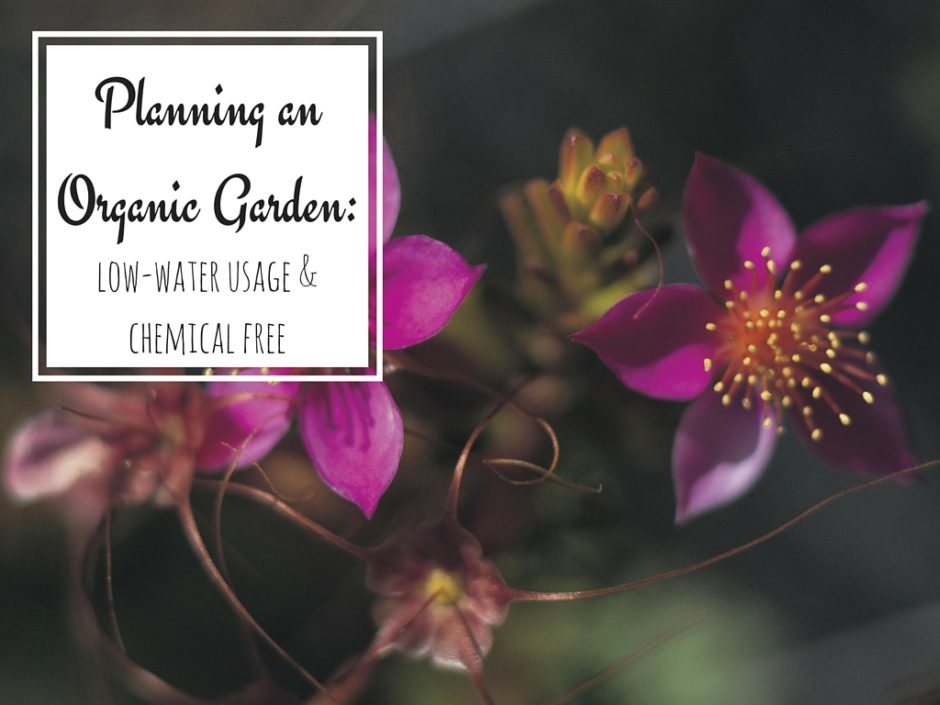 You are currently viewing Organic Garden Planning for a Healthier Garden