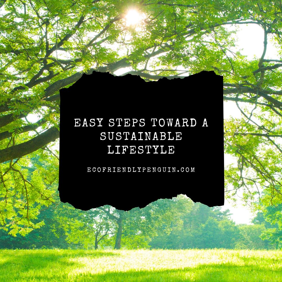 Read more about the article Small Tips Towards a Sustainable Lifestyle