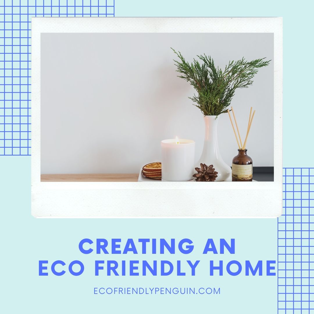 Read more about the article Creating a More Eco Friendly Home