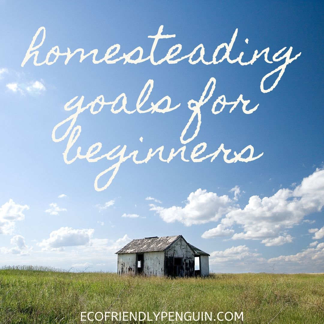 You are currently viewing Homesteading Farm Goals for Beginners