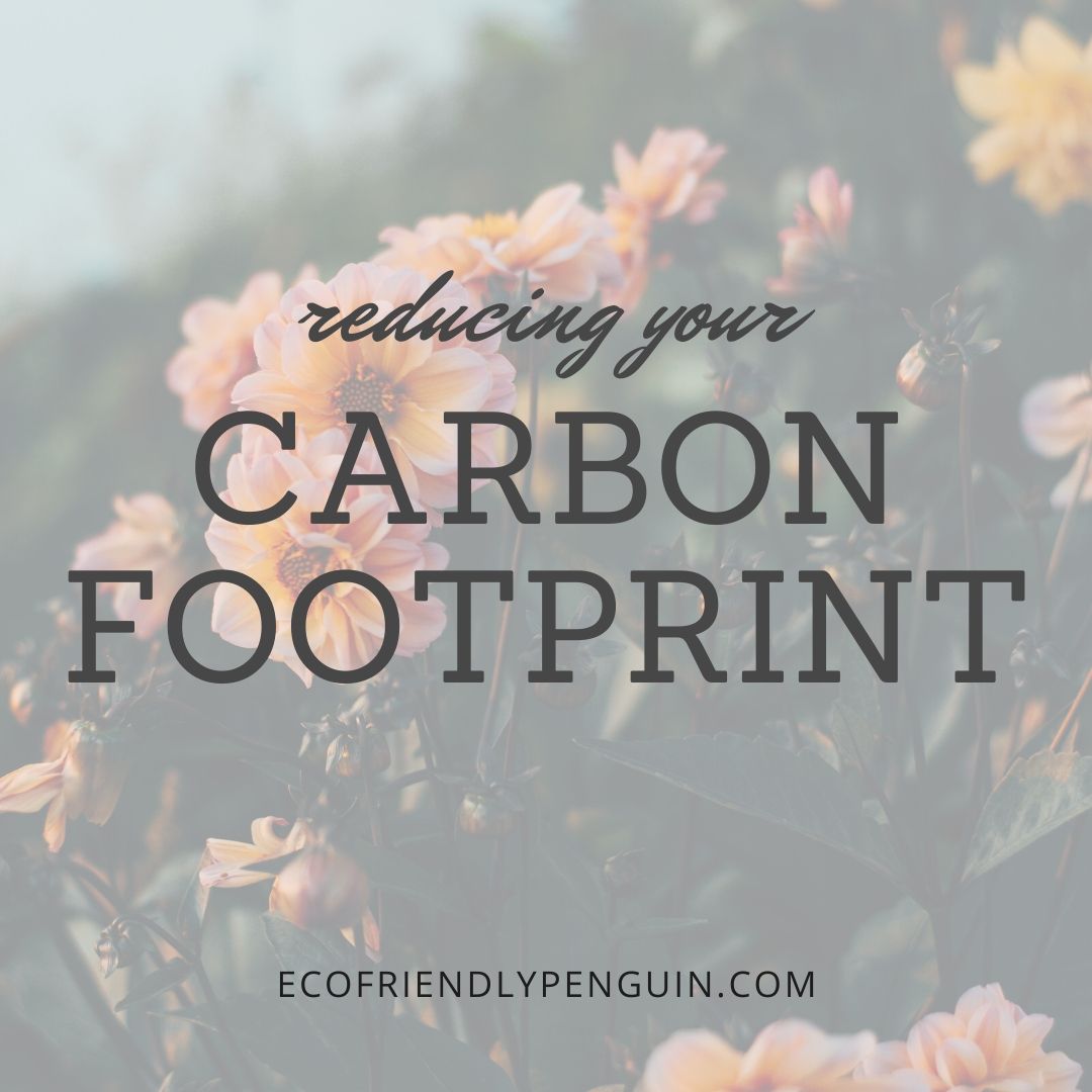 Read more about the article Reduce Your Carbon Footprint Right Now!